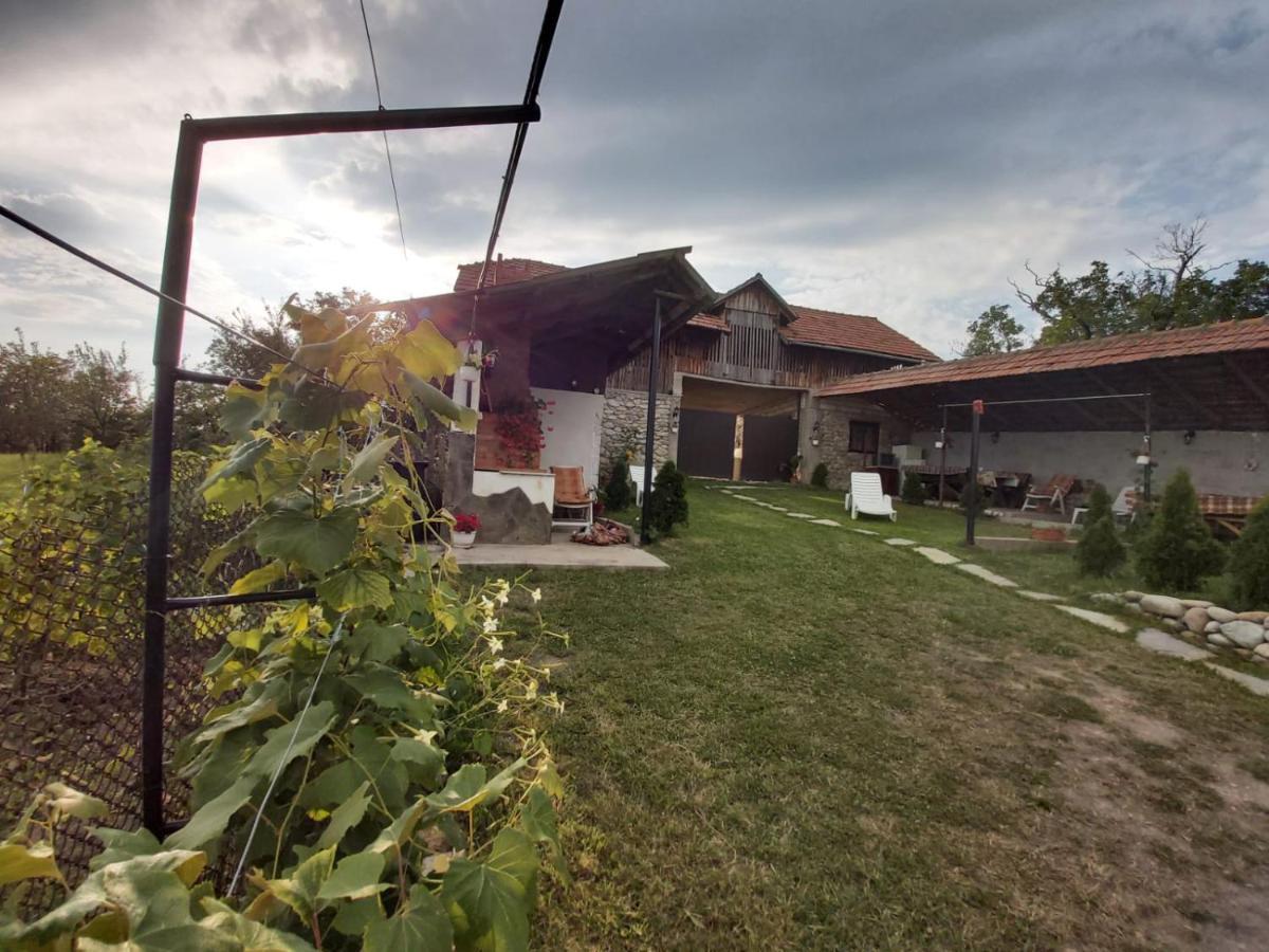 Pensiunea Angelica Baia de Fier Exteriér fotografie