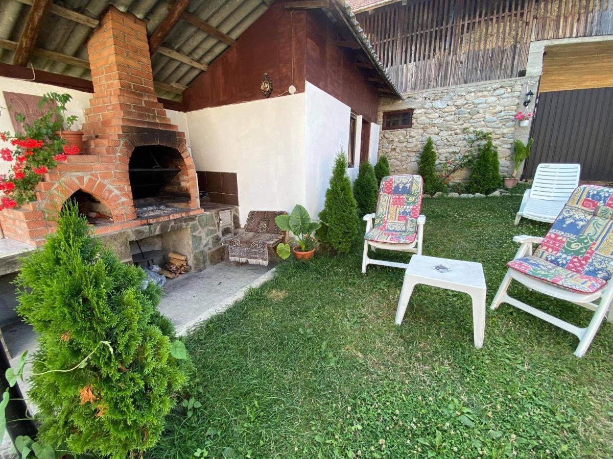 Pensiunea Angelica Baia de Fier Exteriér fotografie