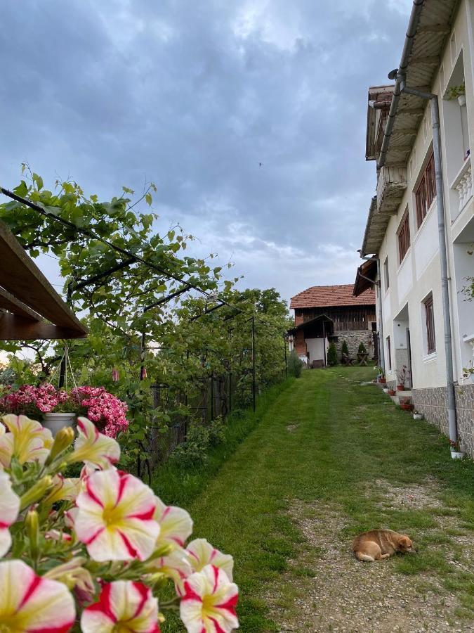 Pensiunea Angelica Baia de Fier Exteriér fotografie