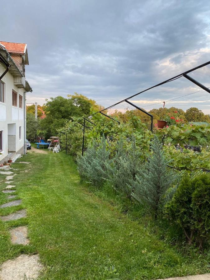 Pensiunea Angelica Baia de Fier Exteriér fotografie
